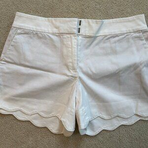 Ann Taylor LOFT White Scallop Hem Riviera Shorts